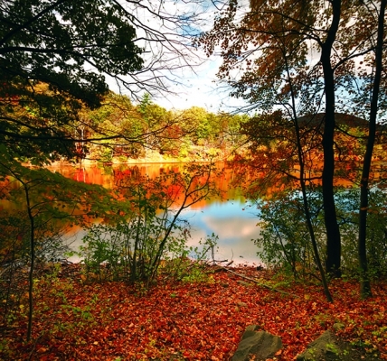 Calendar cu imagini Landscapes, 31.5 x 48 cm, 12 file, 2025