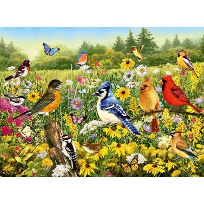 Puzzle Pasarele Colorate, 500 Piese Ravensburger