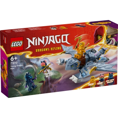 Tanarul dragon Riyu 71810 LEGO Ninjago