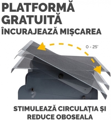 Suport pentru picioare Heavy Duty Professional Fellowes