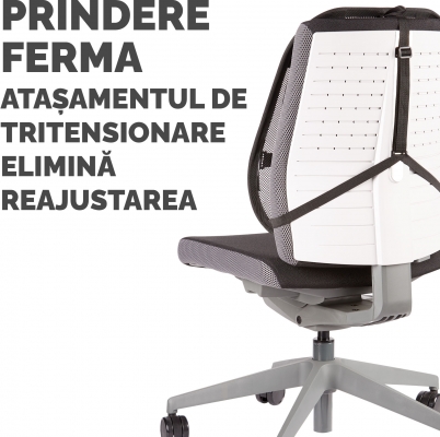 Suport pentru spate Office Fellowes