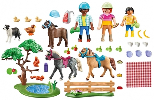 Playmobil - Picnic Cu Calutii