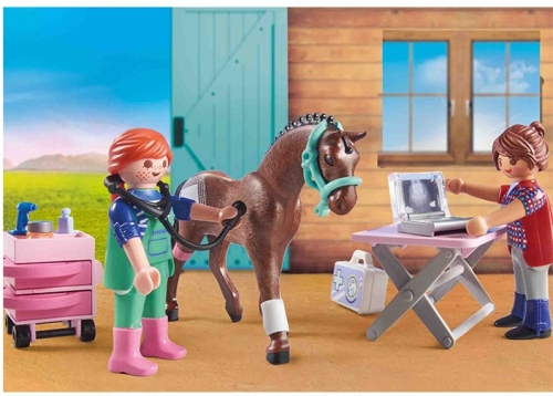 Veterinar Pentru Caluti, Playmobil 