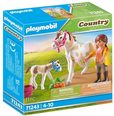 Cal Cu Manz, Playmobil