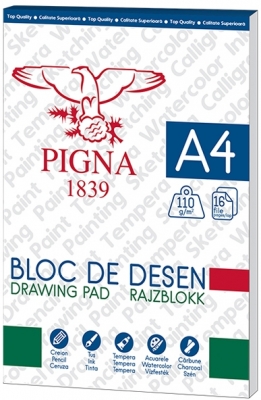 Bloc de desen A4, 110 g, 16 file, diverse modele, Pigna