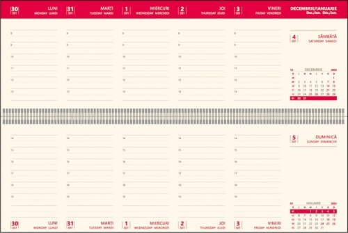 Agenda 2025 Bref, 30 cm, datata, saptamanala, Ego