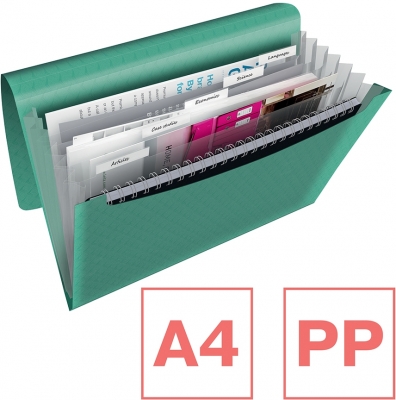 Mapa tip proiect Colour Breeze, PP, A4 Esselte