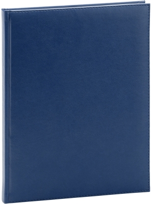 Agenda Activ, 27 cm, nedatata, Ego