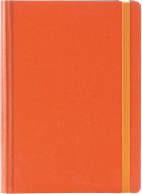 Agenda Idea, 24 cm, nedatata, Ego