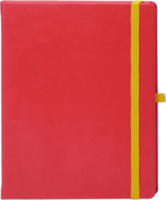 Agenda Notebook Pro 16 cm, nedatata, Ego