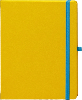 Agenda Notebook Pro 16 cm, nedatata, Ego