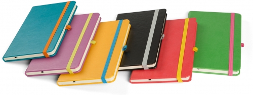 Agenda Notebook Pro 16 cm, nedatata, Ego