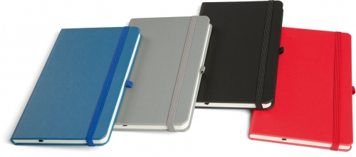 Agenda Notebook Pro 16 cm, nedatata, Ego