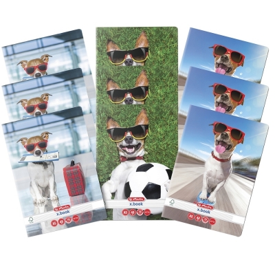 Caiet A5, 48 file, dictando, Cool Dog, 10 buc/set Herlitz