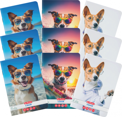 Caiet A5, 48 file, dictando, Cool Dog, 10 buc/set Herlitz