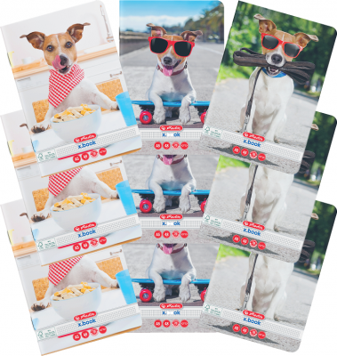 Caiete A5, 48 file, matematica, Cool Dog, 10 buc/set Herlitz