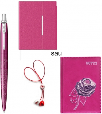 Set pix Parker Jotter SE Tokyo cu agenda sau notes si Martisor