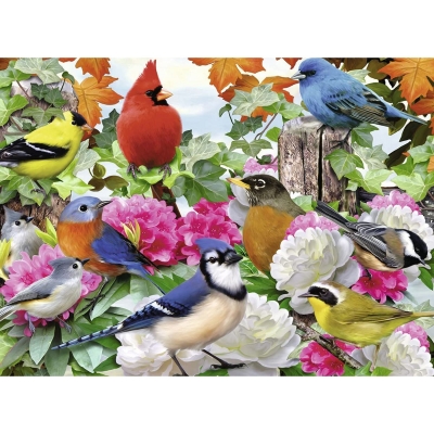 Puzzle Pasari, 500 Piese Ravensburger