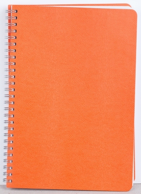 Agenda Riga, 23.5 cm, nedatata Ego 