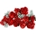 Buchet de trandafiri 10328 LEGO Icons Creator Expert