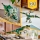 T. Rex 31151 LEGO Creator