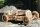 Puzzle 3D, lemn, mecanic  U-9 Grand Prix Car, 348 piese, Ugears 